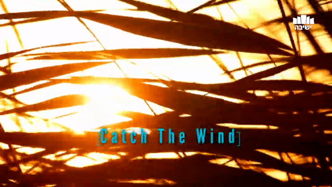 Catch The Wind