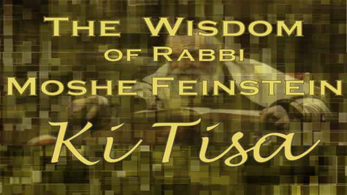 Torah for Human Beings