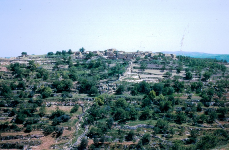 קובץ:Private Arab Land.jpg