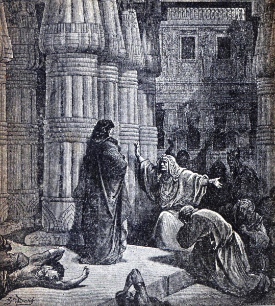 קובץ:Parho the last maca.jpg