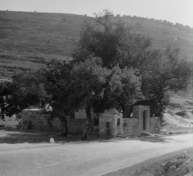 קובץ:Imam Ali 04217u cropped.jpg