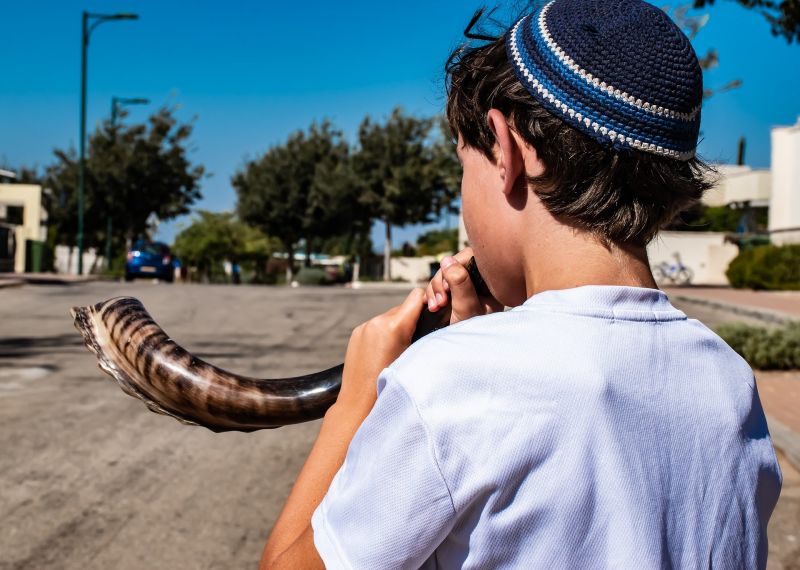 קובץ:Shofar.jpg